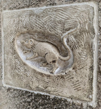 Regensburg Stadtmaus